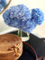 Weekly Joys Blog Post- Blue Hydrangeas